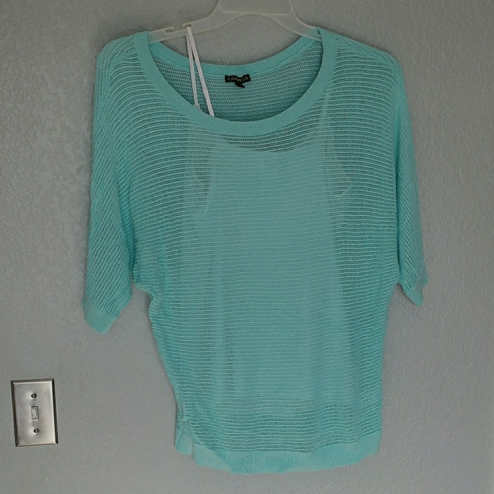 Mint Sheer Express Sweater